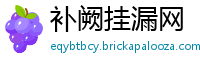 补阙挂漏网